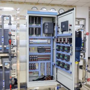 12000L/H RO Water Filter Treatment Plant EDI Ultra Pure Purifier Machine Reverse