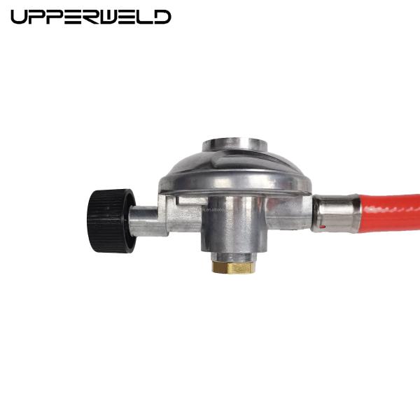 Home Kitchen UPZ60 German Style Gas Regulator with Skin Tube and Customized Support