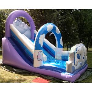 Polar Bear Inflatable Bouncy Castle With Slide Fully Digital Printing