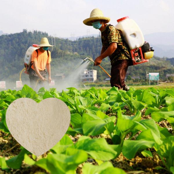 Fish Amino Acid Ph4-6 Amino Plus Foliar Fertilizer Enzymatic Acid Fertilizer Powder Crop Fertilizers 15-1-1