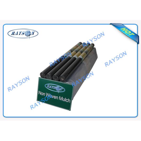 Buy Plant Covering Mulch Film Fruit Bags Non Woven Landscape Fabric with Anti UV at wholesale prices