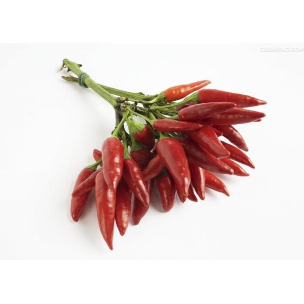 Buy Chaotian Hot Pot Chilli Dehydrated Whole Dried Red Chili Peppers at wholesale prices