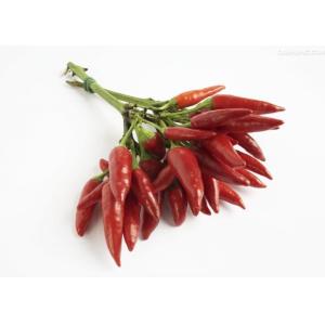 Buy cheap Chaotian Hot Pot Chilli Dehydrated Whole Dried Red Chili Peppers from wholesalers
