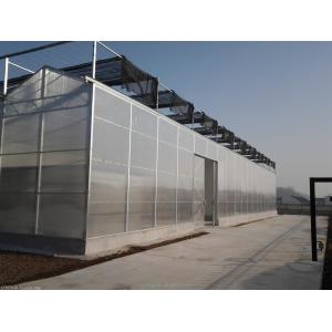Prefab Agricultural Greenhouses with Industrial Polycarbonate Sheets and Cooling