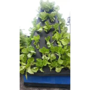 Commercial Aeroponics Hydroponic System For Greenhouse Vegetables Growing