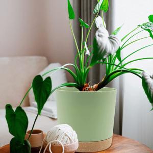 China Indoor Plastic Green Plant Pots With Drainage Holes And Removable Base on sale