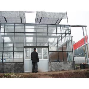 Backyard Multi Span Greenhouse Outdoor Rainproof Large Glass Greenhouse