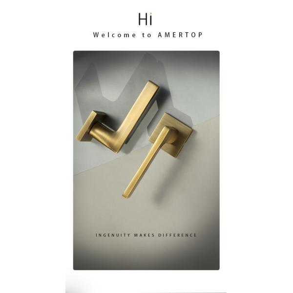 Amertop Brass Door Lock Set Modern Light Luxury PVD Dummy Lever Door Handle