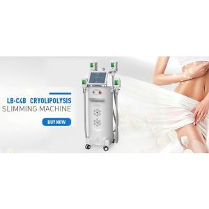 beauty salon new slimming technology fat-freezing cryolipolysis slimming machine