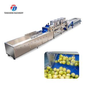 Passion fruit cleaning and drying sorting production line Fruit Vegetable FOOD processing production Machine