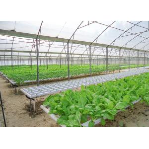 High Density Flat Commercial Nft Hydroponic Systems Nutrient Film Technique