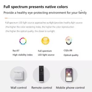 Factory Modern 2024 New Full Spectrum Eye protection Leafless Ceiling Fan with