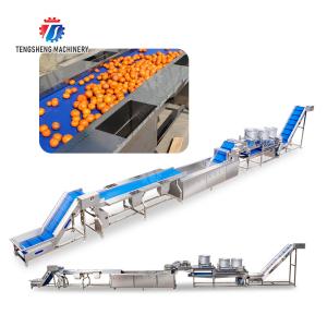 Quality 1500KG/H Orange Selection Fruit And Vegetable Processing Line for sale