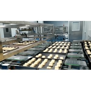 ISO9000 25cm Insulation Baking Tunnel Pastry Production Line