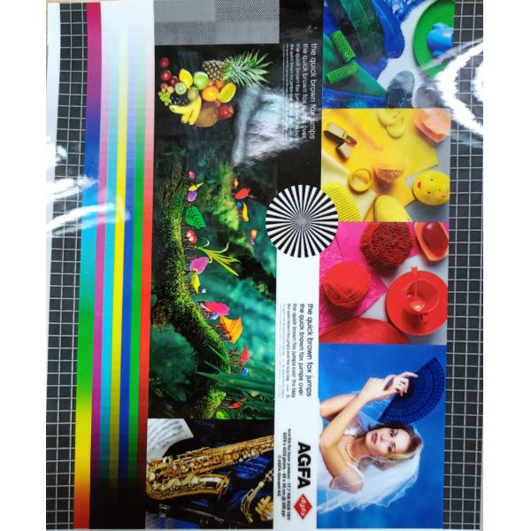 Buy Matte/gloss brightness 22 miu PET EVA packaging film at wholesale prices
