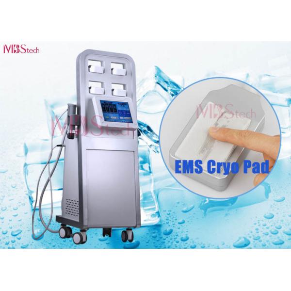 Buy Shockwave Cryolipolysis Slimming Machine at wholesale prices