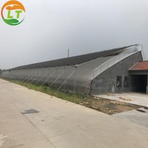 Single Layer Agricultural Tomato Greenhouse Optimal Ventilation Guaranteed