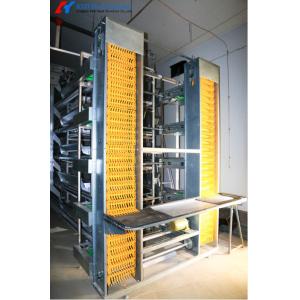 Hot Dip Galvanized Steel Chicken Layer Cages With Automatic Equipment