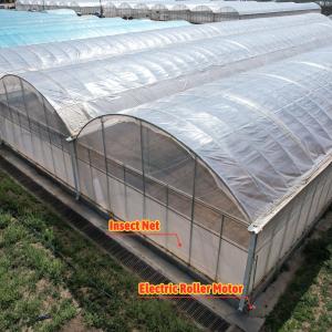 Baolida Custom Automatic System Greenhouse Tropical Hydroponic System Multi-span