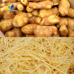 300KG/H Commercial Vegetable Cutter Ginger Potato Garlic Shredder