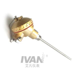 Customized Support OEM High Temperature Armored WZP Temperature Sensor for