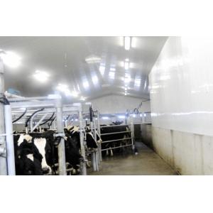 Hygienic Plastic Wall and Ceiling Panel 12" 16" 18" width Waterproof customized