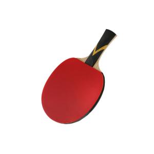 Professional Ayous Table Tennis Bats Sticky Rubber Perfect For All Round Player