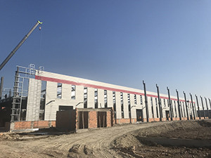 Vertical Sliding PVC Single Hung Grid Windows Classic For Added Security