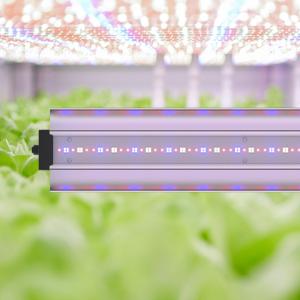 150cm 70W Bar Style LED Grow Lights Daisy Chain Vertical Vertical Grow Light Bar