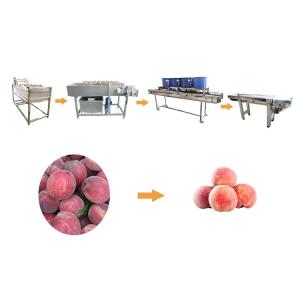 Hot selling Low Price 95% Removal Of Pesticides Fruits Washer Hydroxyle by Huafood