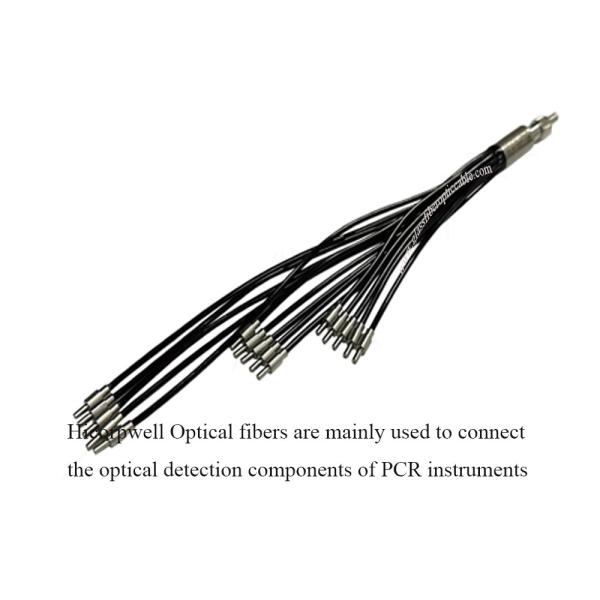 China Polymerase chain reaction (PCR) instruments  PCR Optical fibers Connect the optical detection components of PCR instruments on sale China Polymerase chain reaction (PCR) instruments  PCR Optical fibers Connect the optical detection components of PCR instruments on sale