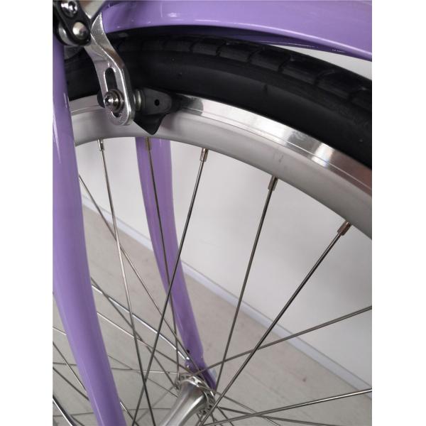 1.8m Length Steel Frame 700C Women Single Speed City Bike for American Market OEM/ODM