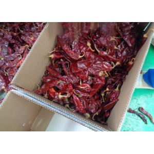 HACCP Dried Paprika Peppers 16% Moisture Sweet Dehydrating Chillies