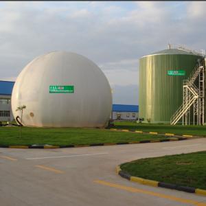 Expanded Granular Sludge Bed EGSB Wastewater Treatment Commercial Biogas Plant
