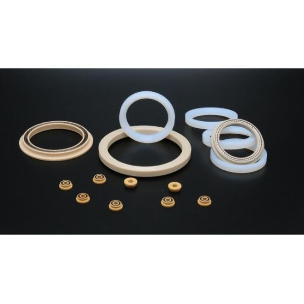 Weather Resistance PTFE Spring Energised Seal 90 Shore A For Petroleum Industry