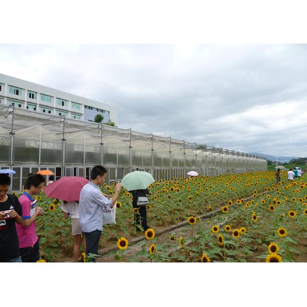 IGreen Polycarbonate Greenhouse Panels for Flowers and Vegetables Customized Length