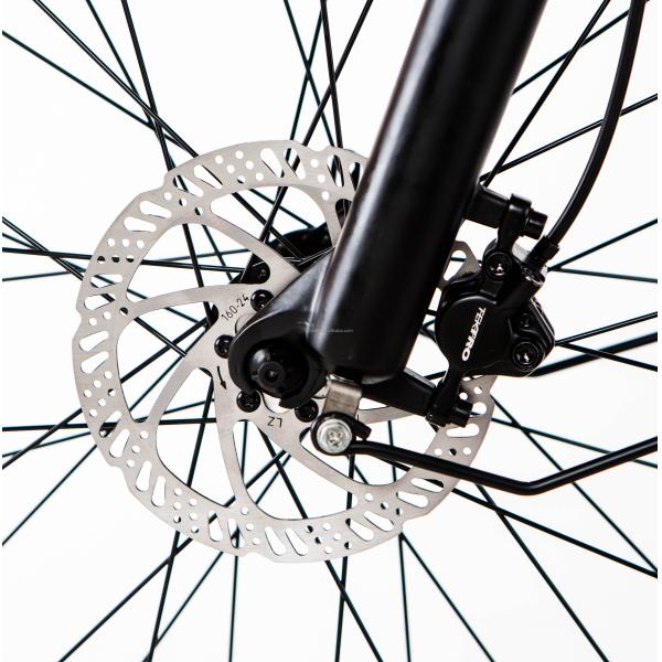 52V 1000W Bafang Motor 17AH Lithium 55KM/H Rear Hub Snow Fat Tire Mountain Electric Bike