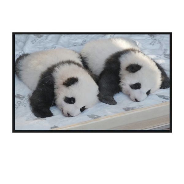 49 Inch Sunlight Readable LCD Panel Repair 2000nits Large Backpack Lcd