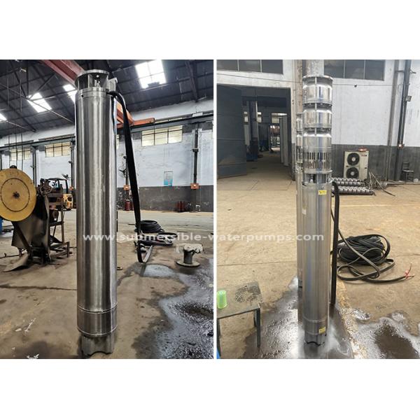 100hp 300hp 60m 110m 160m 300m3/H 12 Inch Electric Submersible Pump