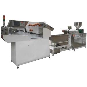 PE Zipper Film Extruder Machine