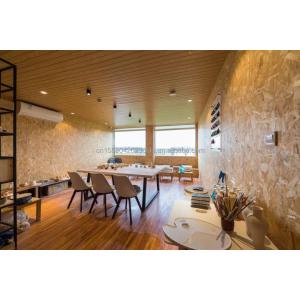 Galvanized Steel Bending Customized Color Sunshine Container Mobile Activity for