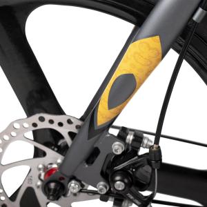 36v 10Ah 2 Passenger Electric Scooter Cycle Lightweight Electric Mobility