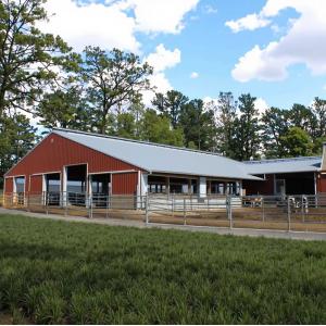 Weatherproof Prefabricated Steel Frame Farm Building Poultry House Easy Install
