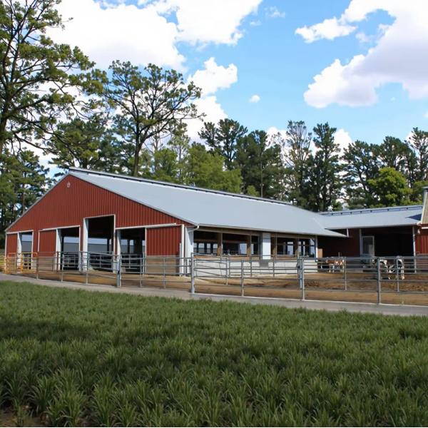 Buy Weatherproof Prefabricated Steel Frame Farm Building Poultry House Easy Install at wholesale prices