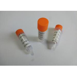 Anti-MDMA Mouse Monoclonal Antibody For Vitro Research 500ng/ml Cut-off