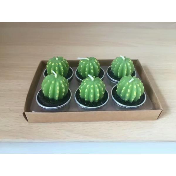 Decor green bonsai plants unscented candle with metal cup and the package of paper tray and PVC box