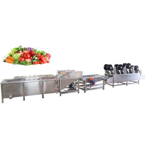 Quality Commercial Fruit Vegetable Processing Machine Small Automatic 300-1000kg/h for sale