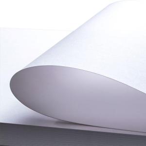 300gsm 350gsm C1S Coated FBB Ivory Board for Printing and Packaging
