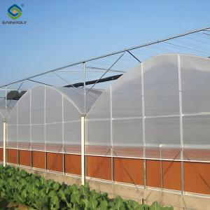 Hydroponic Glass / Pc Sheet Greenhouse With Tomato Growing System Large