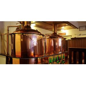 Quality 3000L Engineers available to serve overseas microbrewery equipment for sale